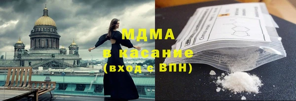 сатива Новозыбков