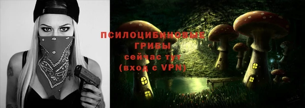 синтетический гашиш Новодвинск