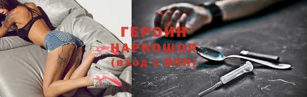 сатива Новозыбков