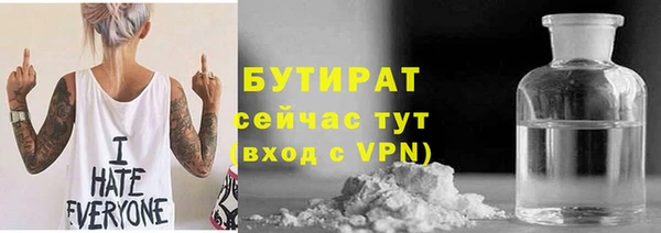 сатива Новозыбков