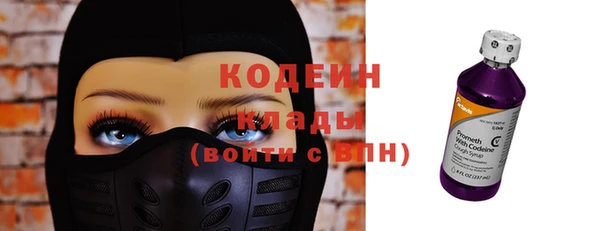 сатива Новозыбков