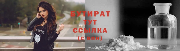 сатива Новозыбков