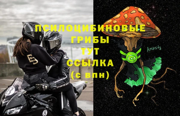синтетический гашиш Новодвинск