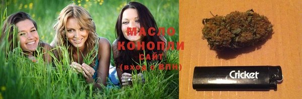 сатива Новозыбков