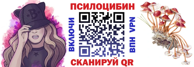цена Бодайбо мориарти официальный сайт Галлюциногенные грибы Psilocybine cubensis
