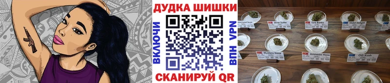 Бошки Шишки семена  Бодайбо 